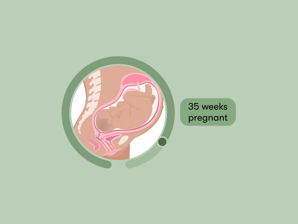 35 weeks pregnant Symptoms tips and baby development